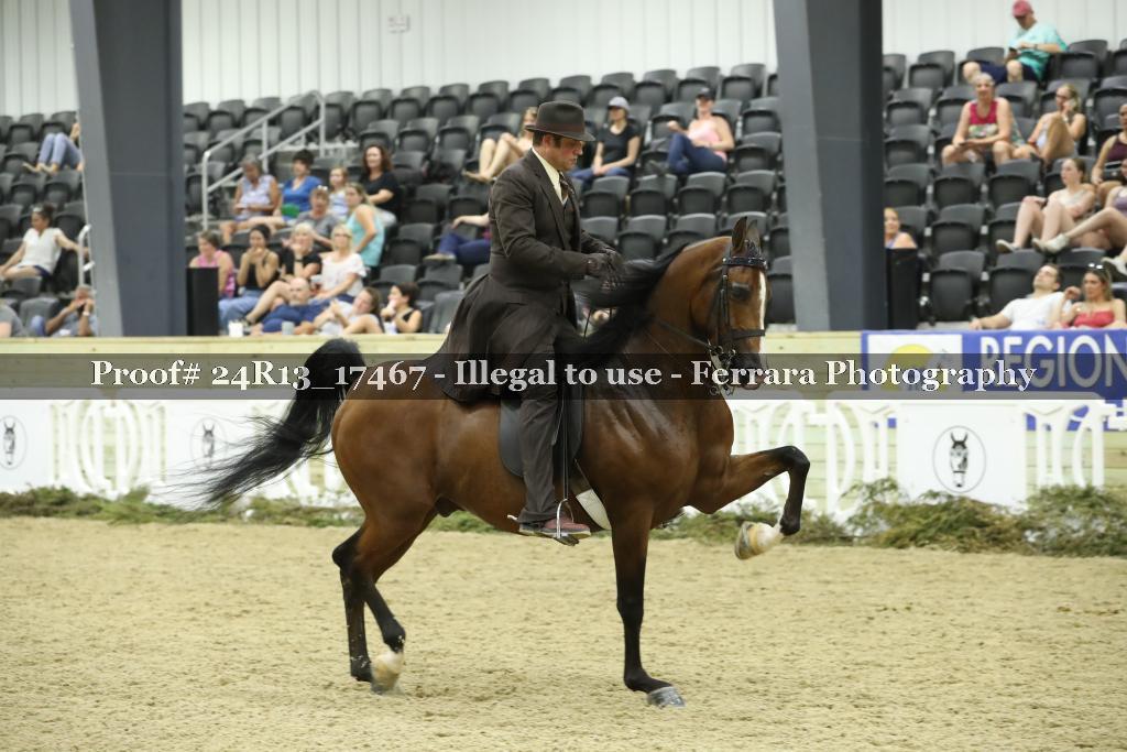 Proof 24R13_17467