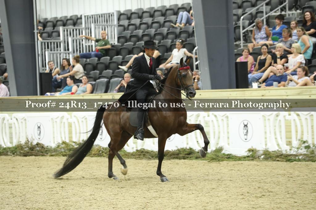 Proof 24R13_17470