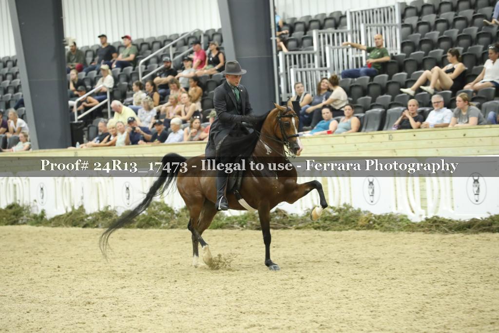 Proof 24R13_17473