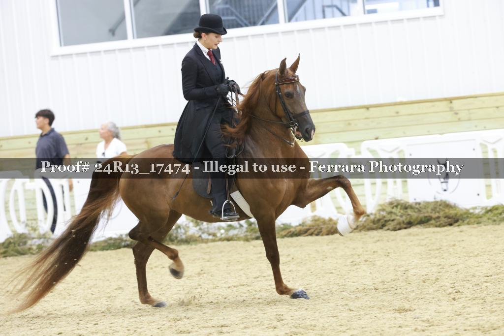 Proof 24R13_17474