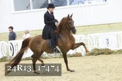 24R13_17474 proof