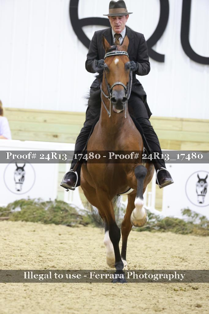 Proof 24R13_17480