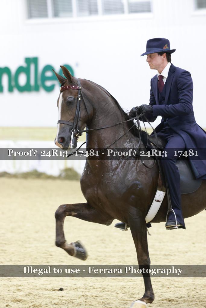 Proof 24R13_17481