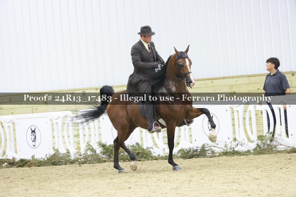 Proof 24R13_17483