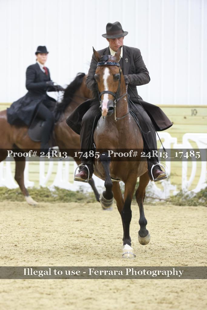 Proof 24R13_17485