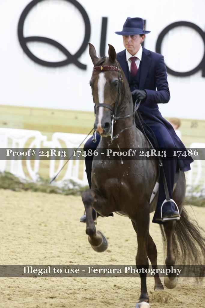 Proof 24R13_17486