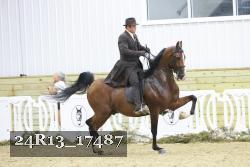 24R13_17487 proof