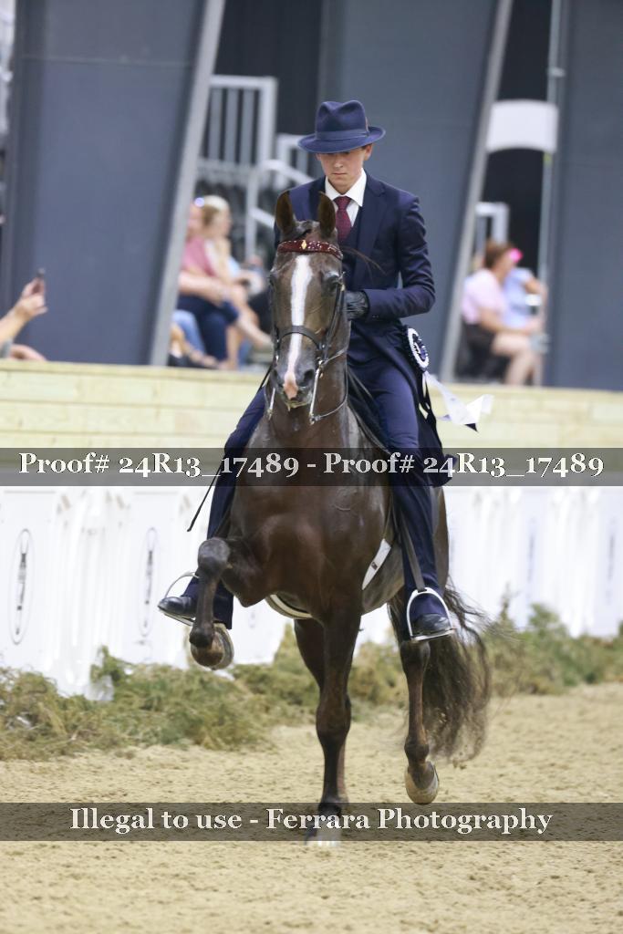 Proof 24R13_17489