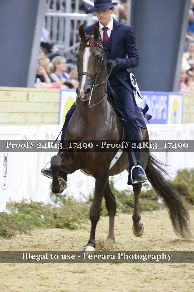 Proof 24R13_17490