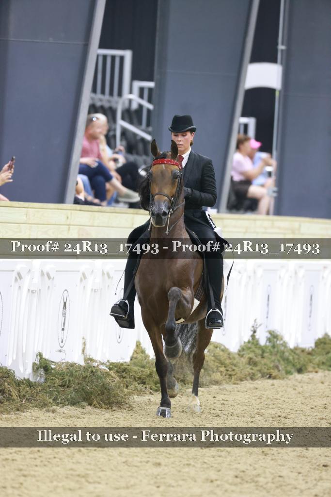 Proof 24R13_17493