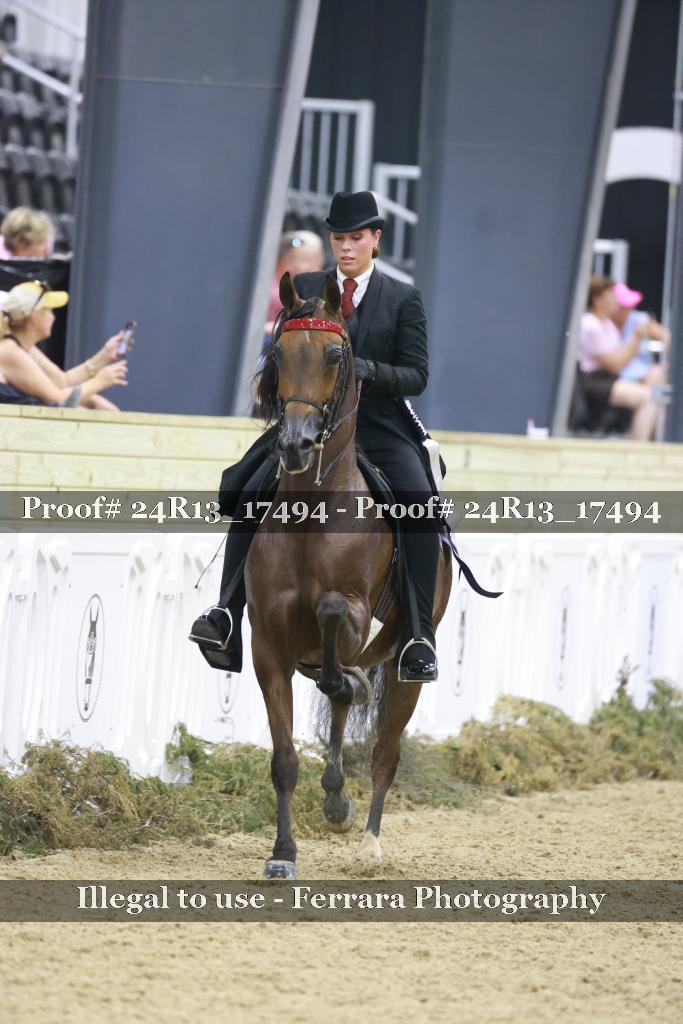 Proof 24R13_17494