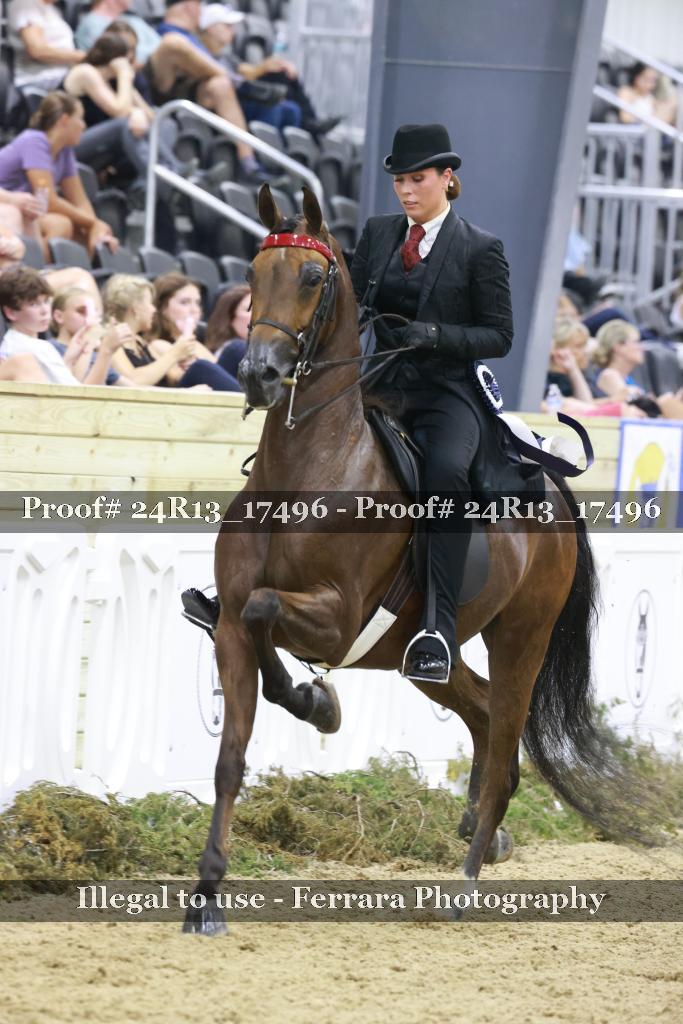 Proof 24R13_17496