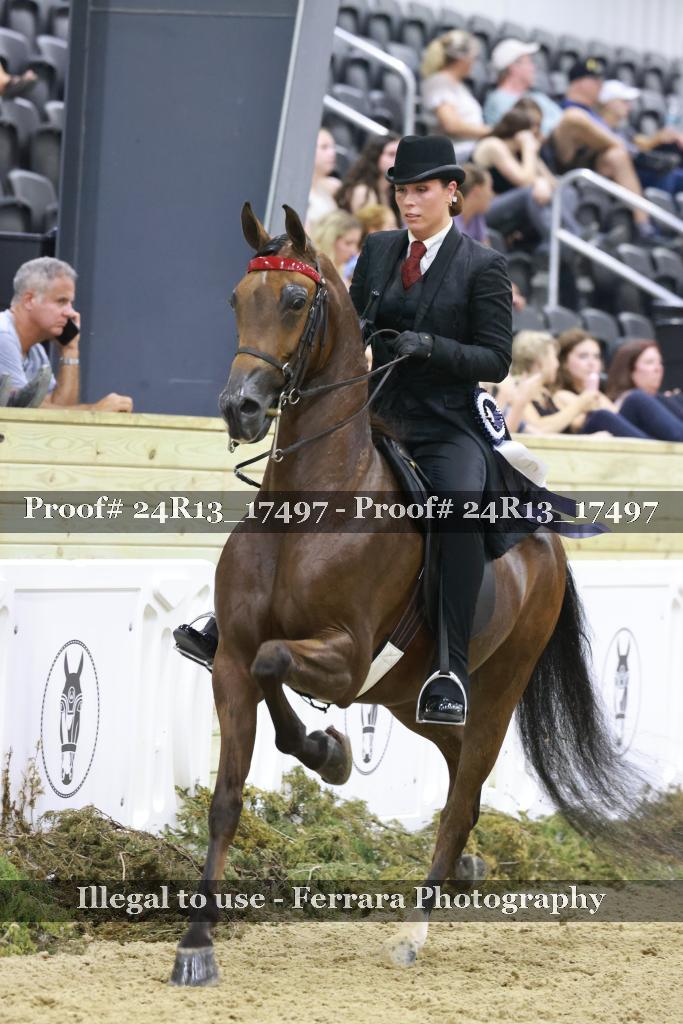 Proof 24R13_17497