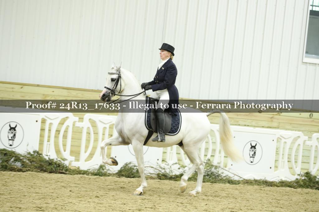 Proof 24R13_17633