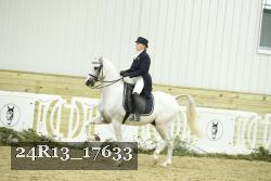 24R13_17633 proof