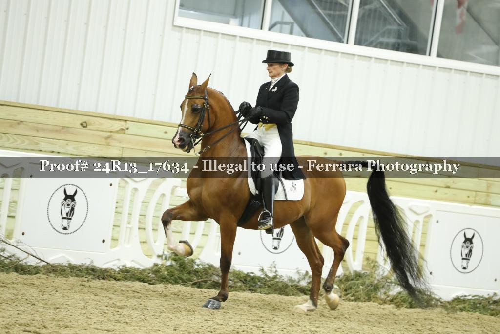 Proof 24R13_17634