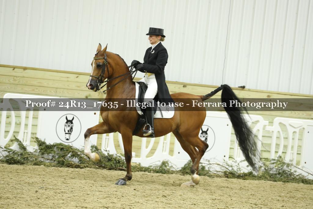 Proof 24R13_17635
