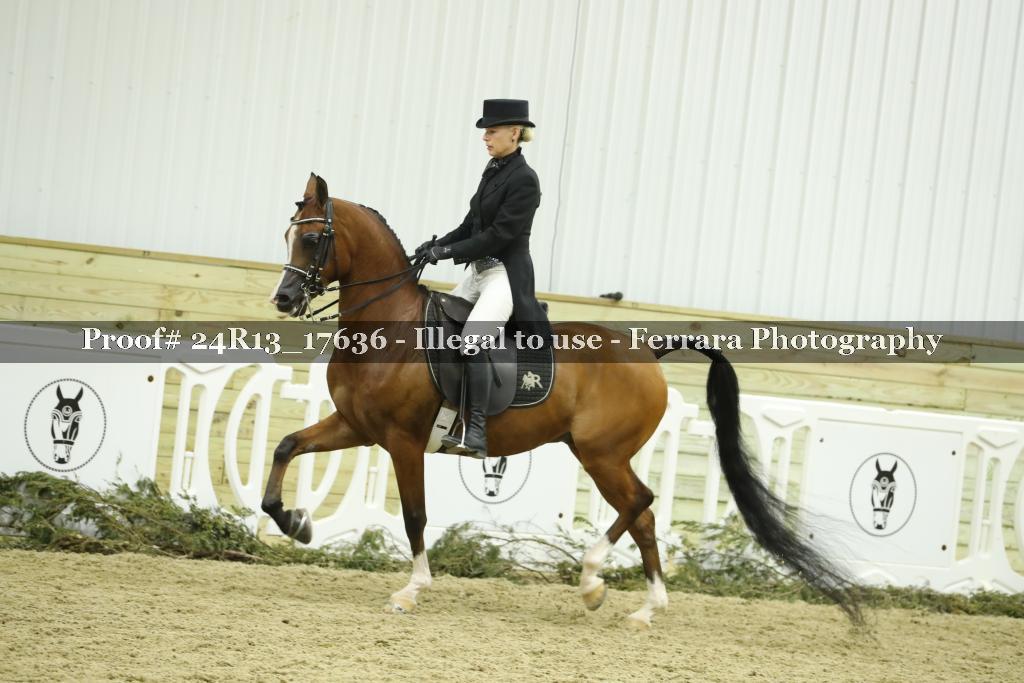 Proof 24R13_17636