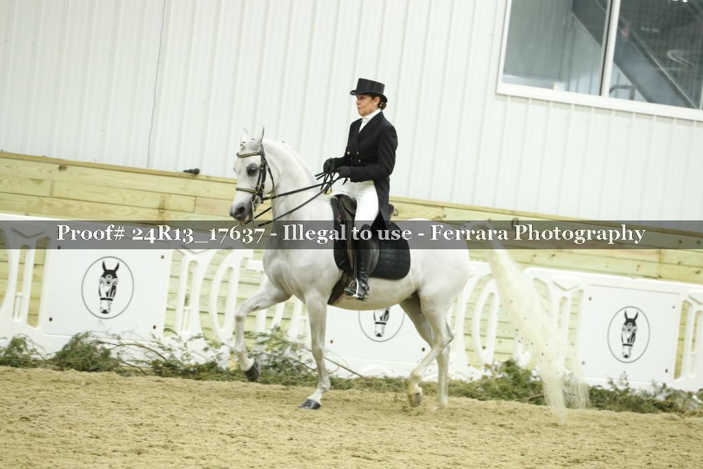 Proof 24R13_17637