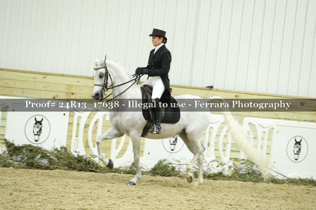 Proof 24R13_17638