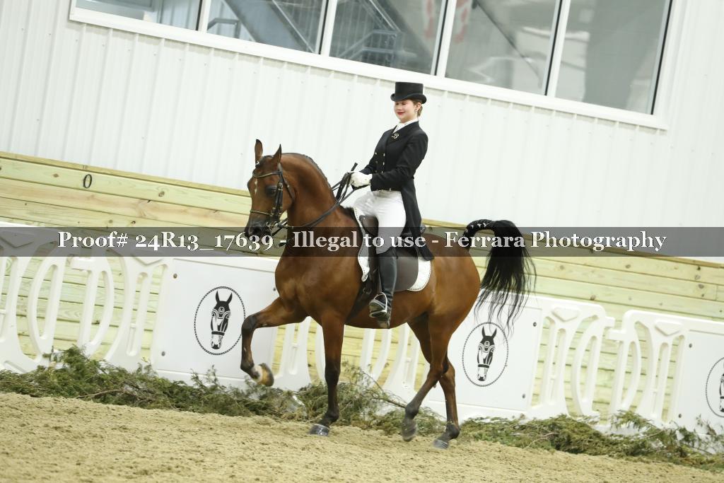 Proof 24R13_17639