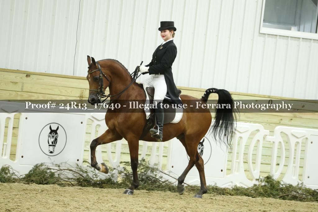Proof 24R13_17640