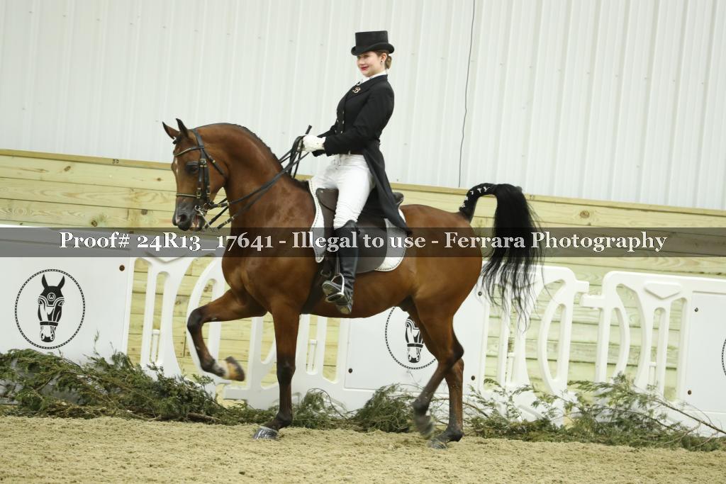 Proof 24R13_17641