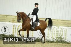24R13_17641 proof