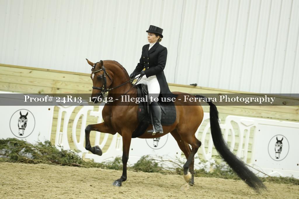 Proof 24R13_17642