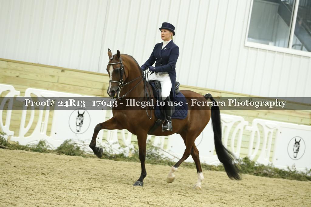 Proof 24R13_17643