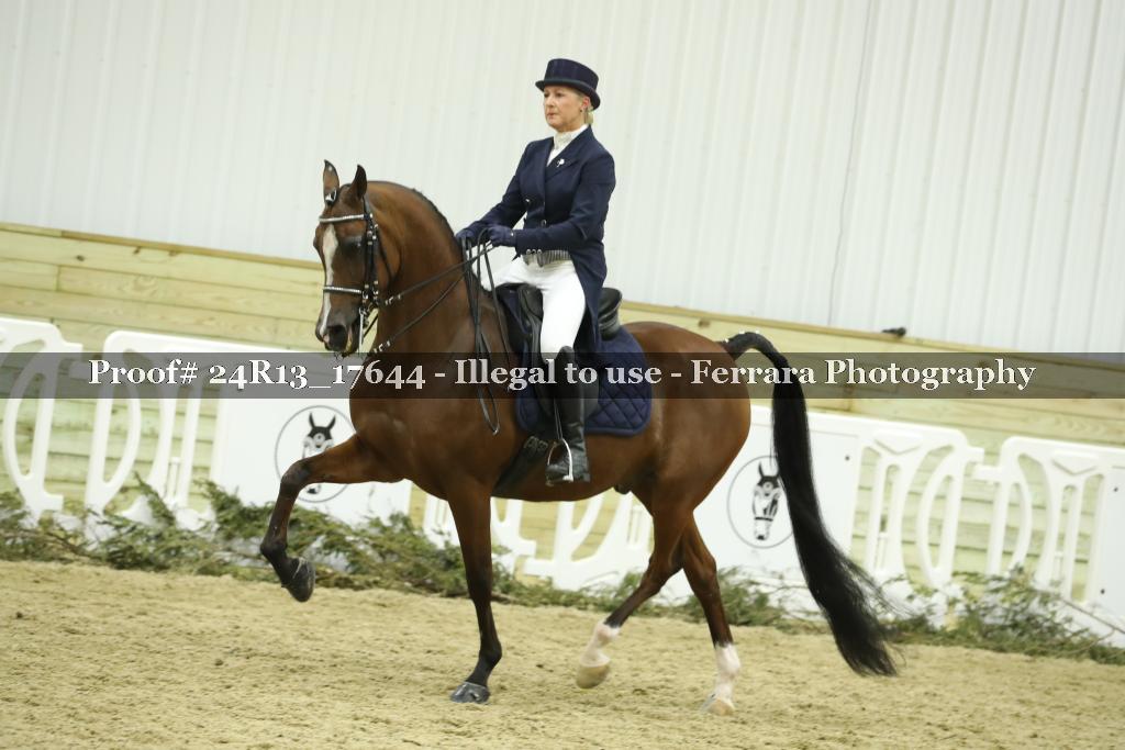 Proof 24R13_17644