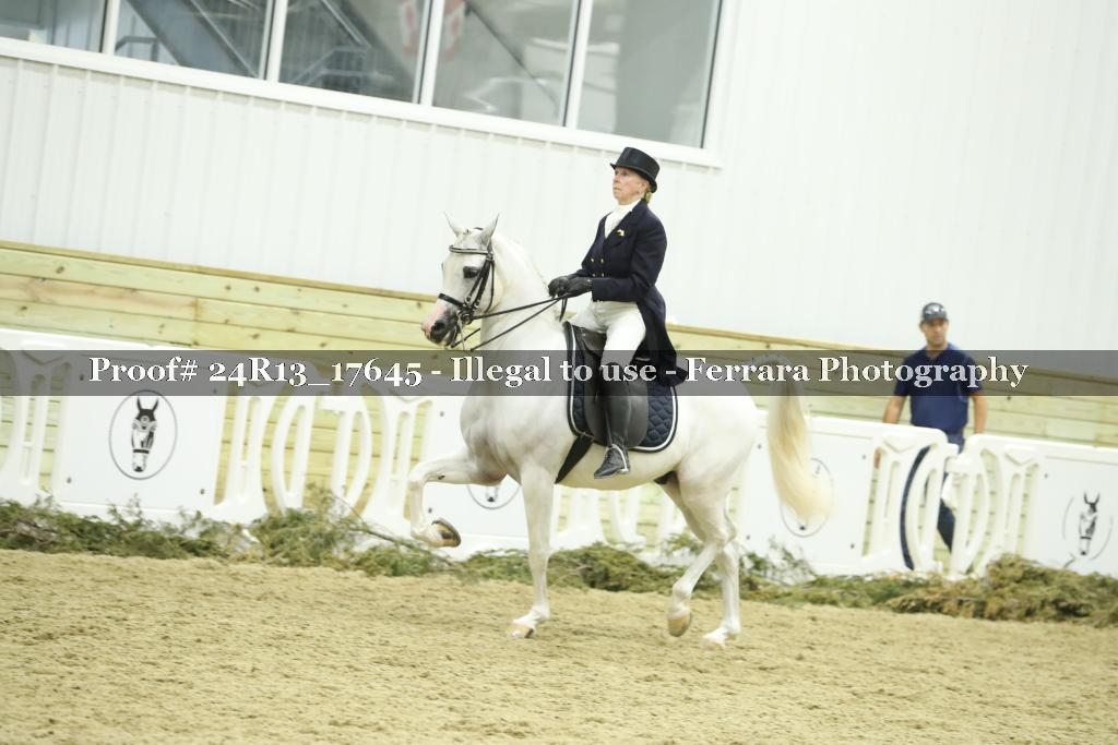 Proof 24R13_17645