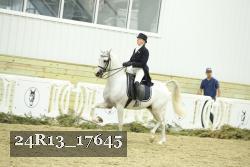 24R13_17645 proof