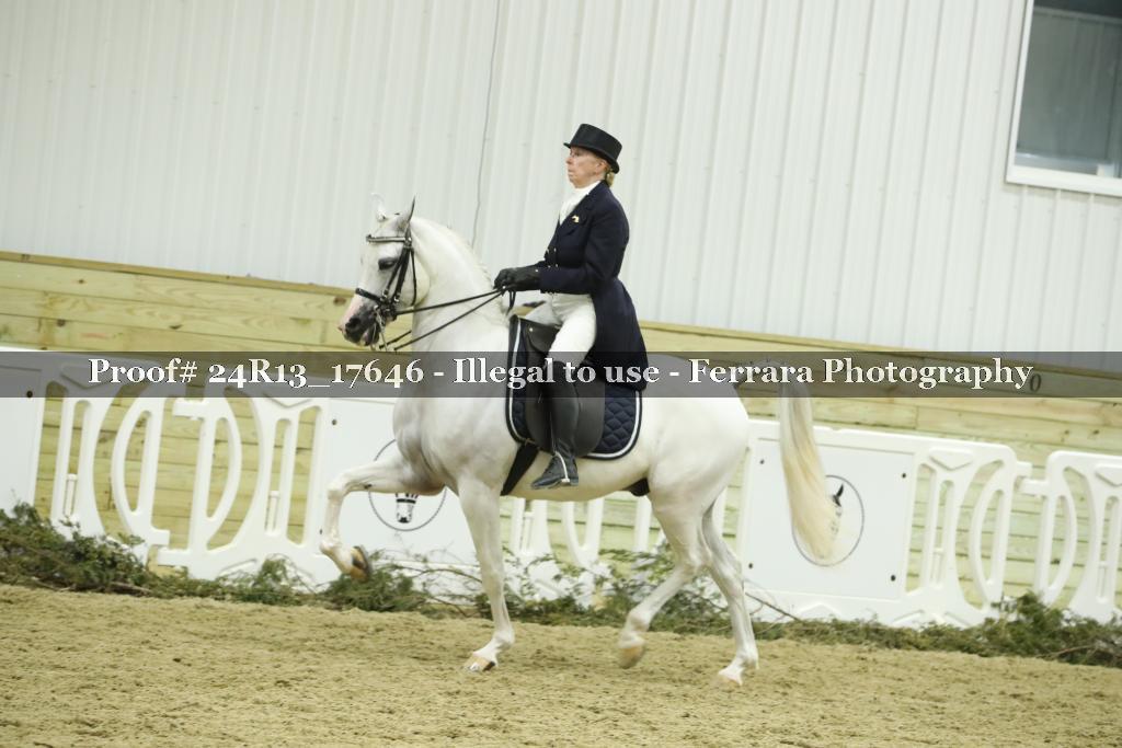 Proof 24R13_17646