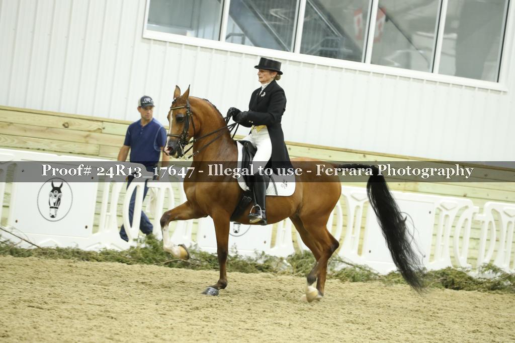 Proof 24R13_17647