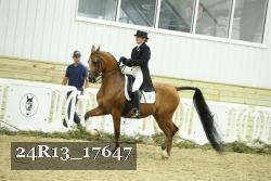 24R13_17647 proof