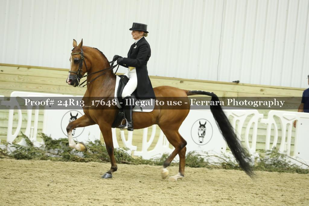 Proof 24R13_17648
