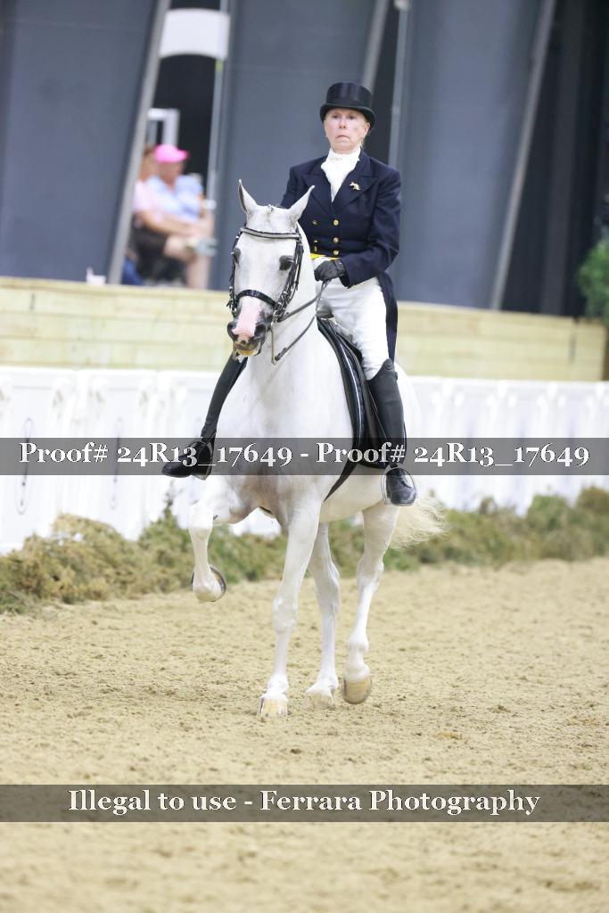 Proof 24R13_17649