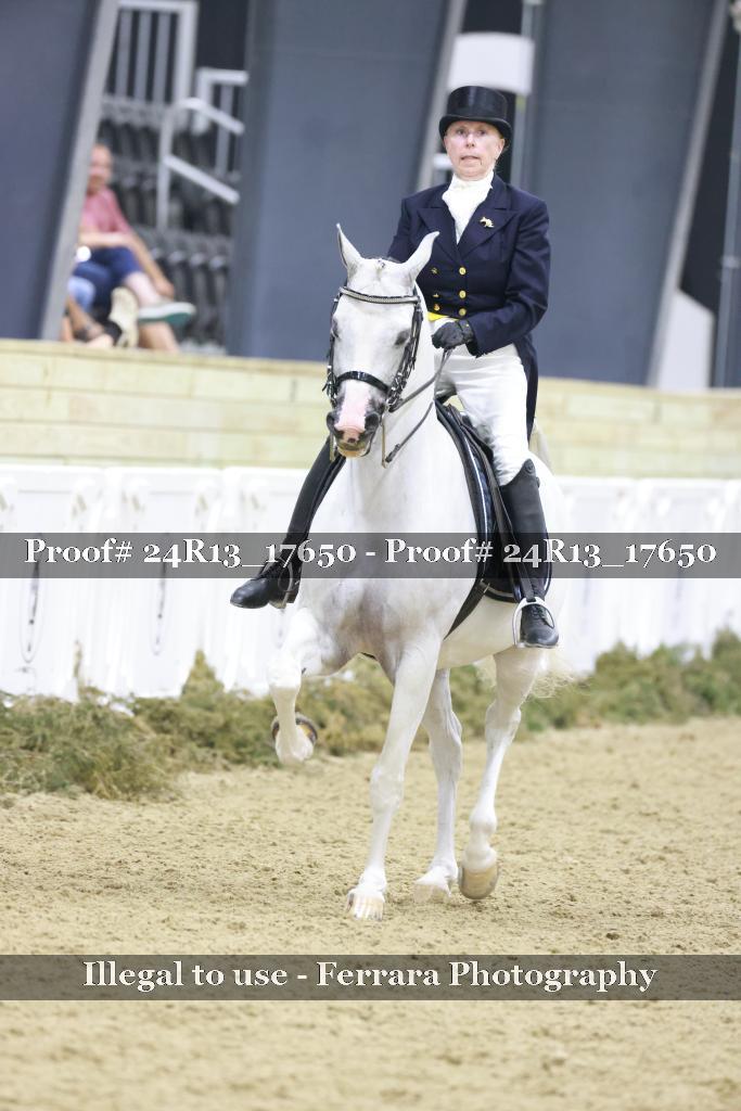 Proof 24R13_17650