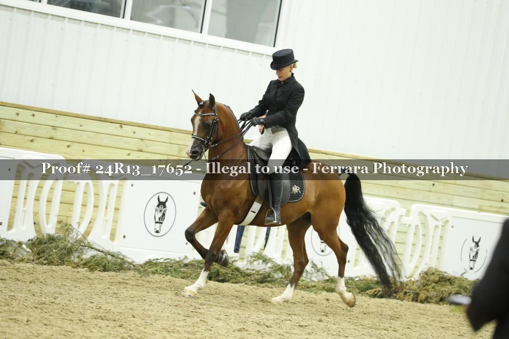 Proof 24R13_17652