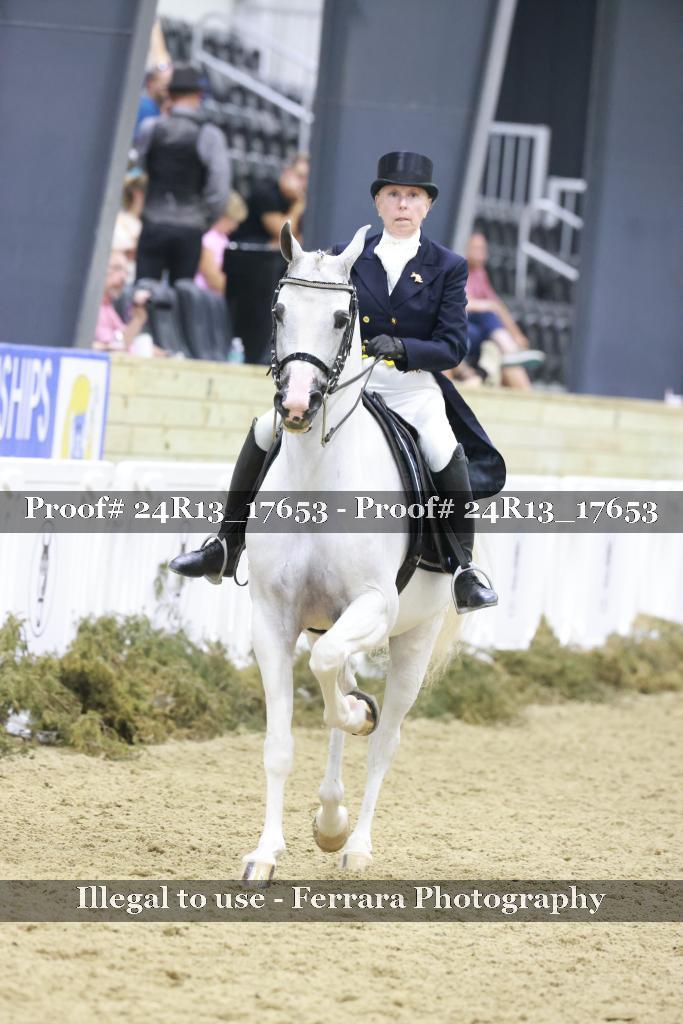 Proof 24R13_17653