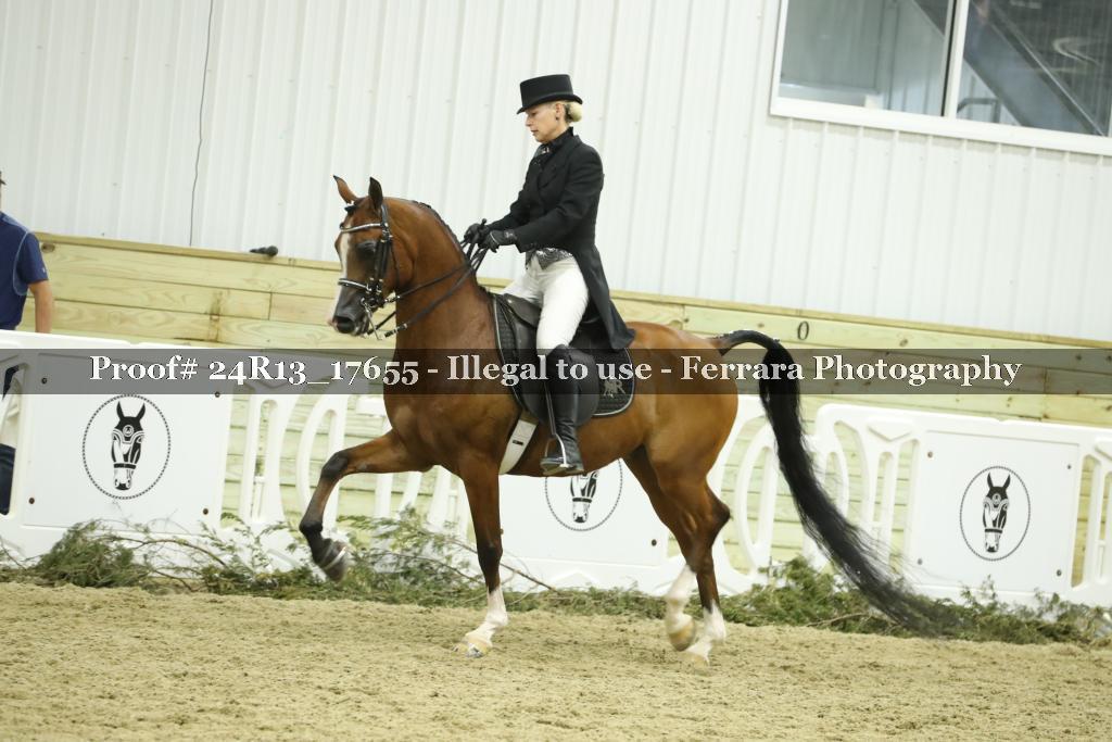 Proof 24R13_17655