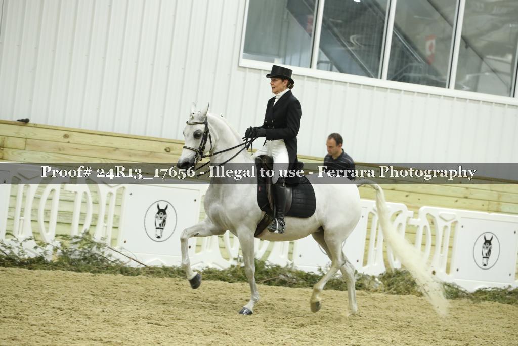 Proof 24R13_17656
