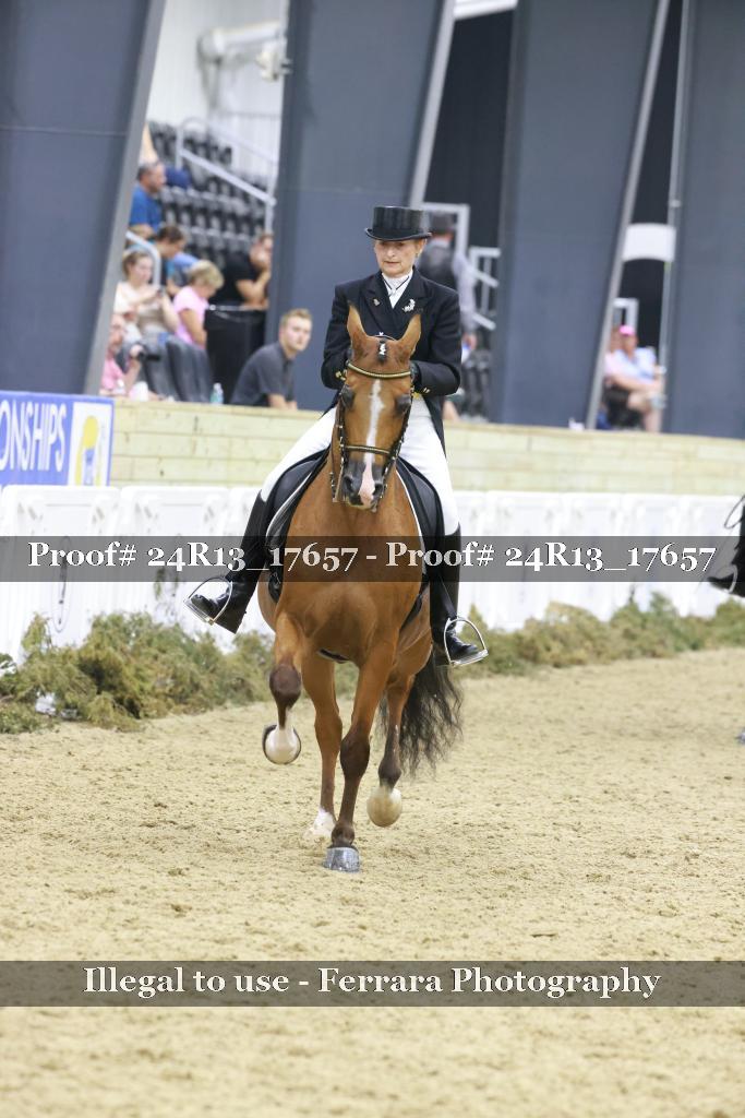 Proof 24R13_17657