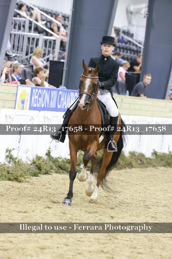 Proof 24R13_17658