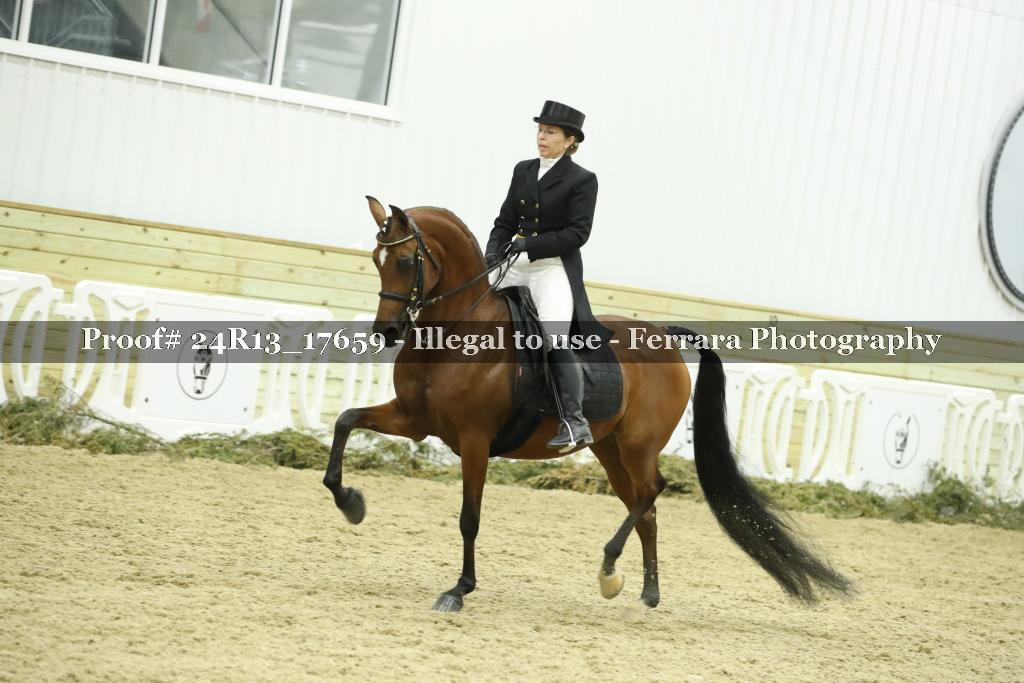 Proof 24R13_17659