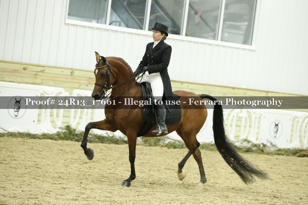 Proof 24R13_17661