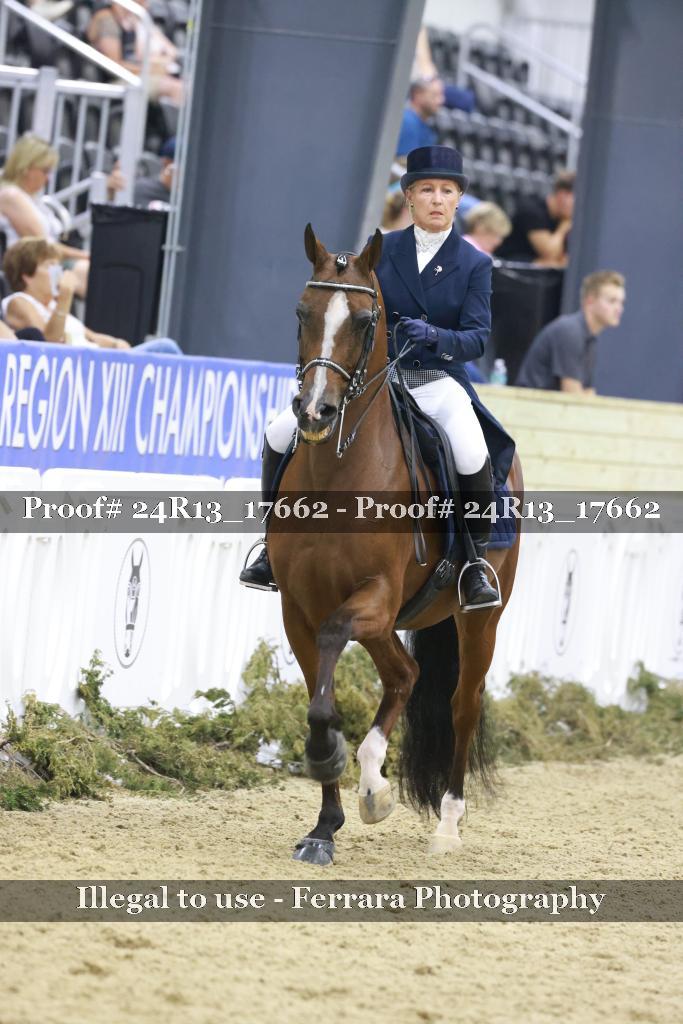 Proof 24R13_17662