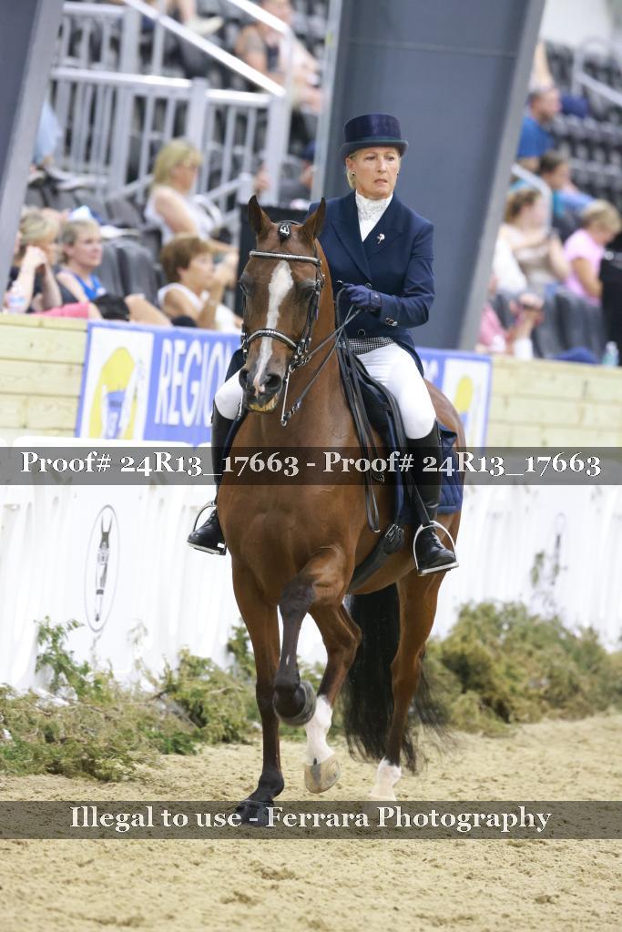 Proof 24R13_17663