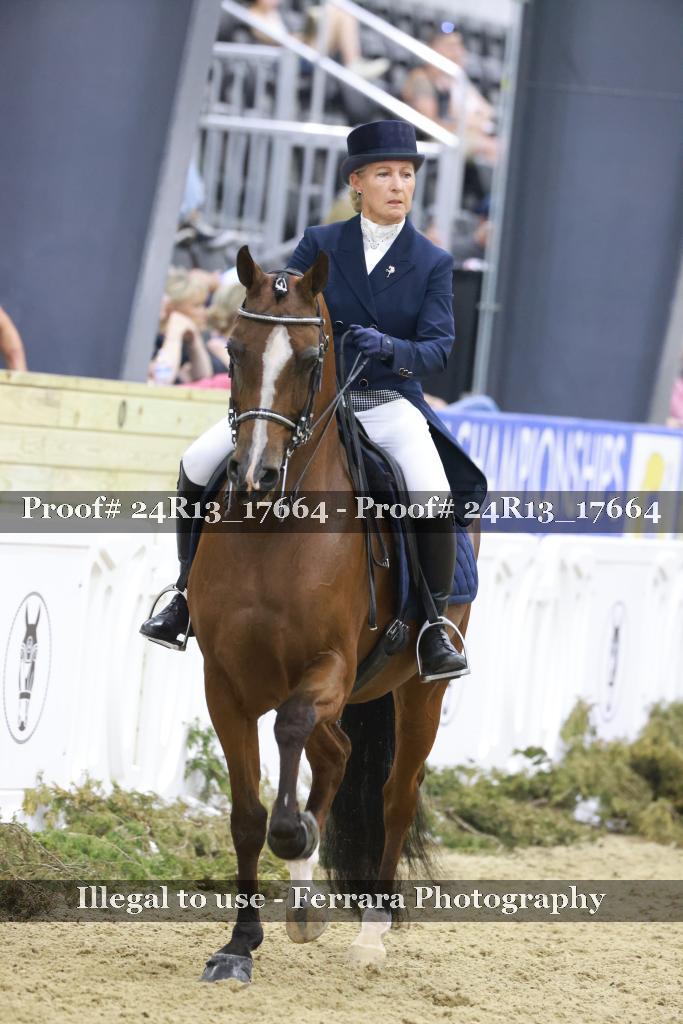 Proof 24R13_17664